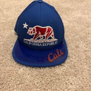 Adjustable California republic flatbill.